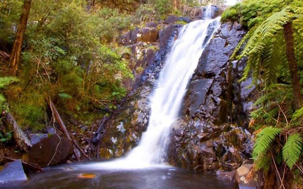 Marysville Holiday Park Dış mekan fotoğraf